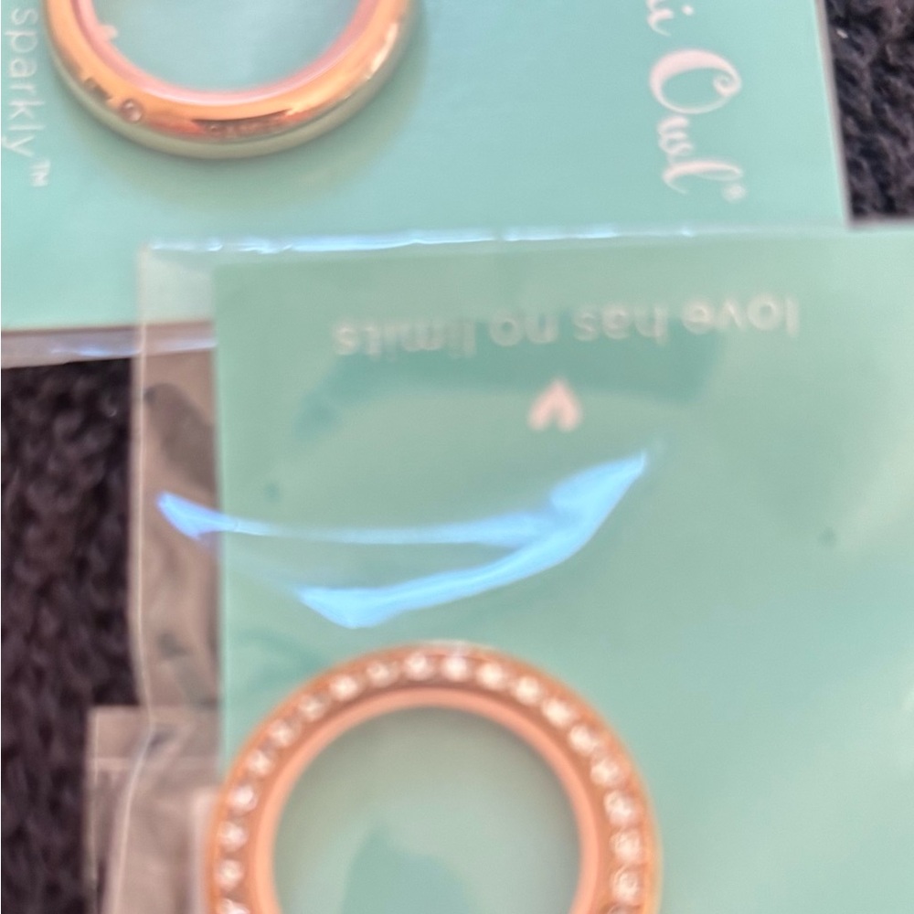 Origami Owl Rose Gold Locket Set